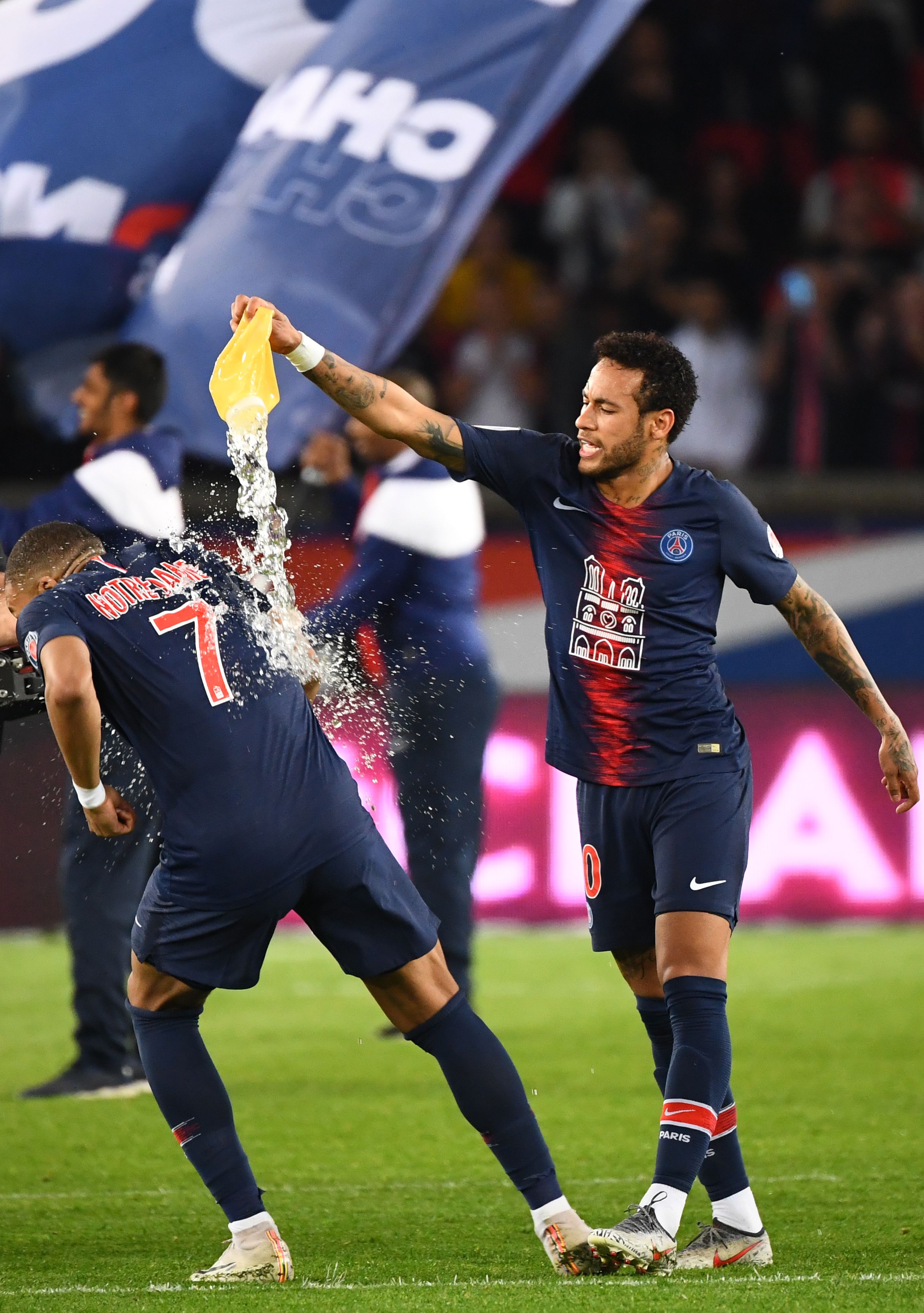 只有这些条 只有这些条